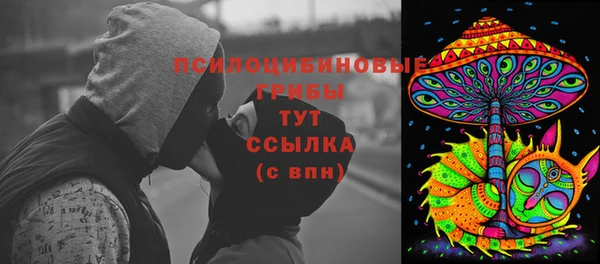 хмурый Елизово