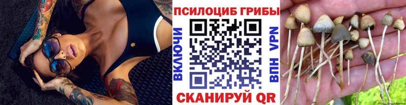 Галлюциногенные грибы мицелий  Купить закладки  Удомля 