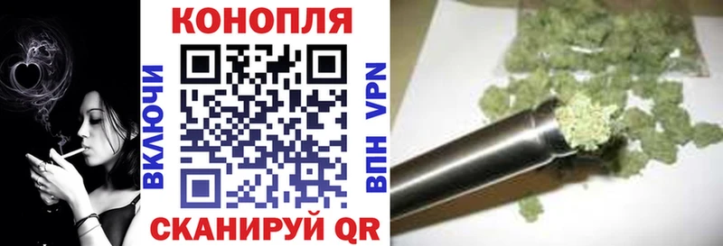 Купить где  Удомля  Бошки Шишки Amnesia 